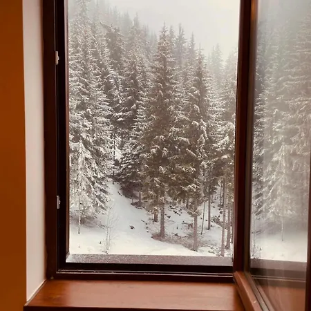 아파트 Harmony, *