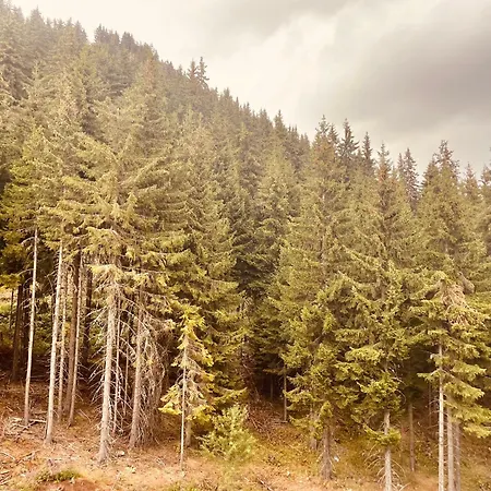 Harmony, 公寓 潘波洛沃