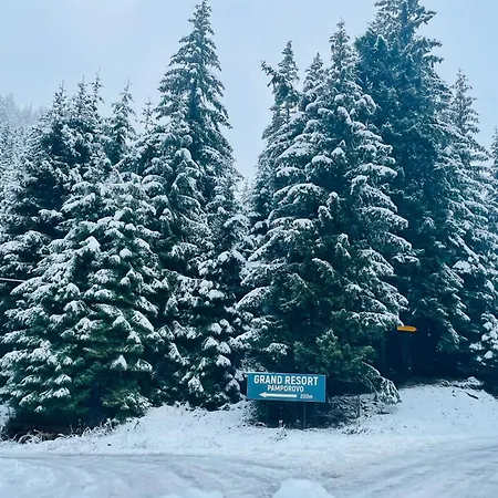 Harmony, * 潘波洛沃