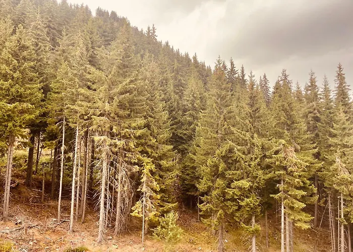 Harmony, Lejlighed Pamporovo